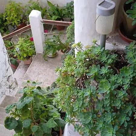 Maro's Apartament Berat